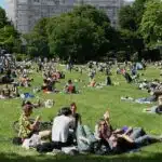 Créer un espace vert à Paris conseils pratiques et inspirations